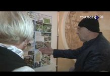 Выборы в Туапсе. Явка в полдень