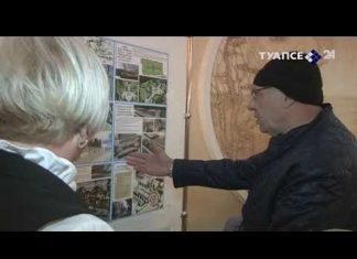 Выборы в Туапсе. Явка в полдень